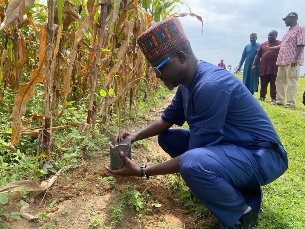 Adani Abdallah kneeling in a crop field, inspecting plants